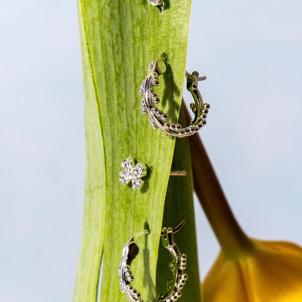 Mustard Seed Earring Set